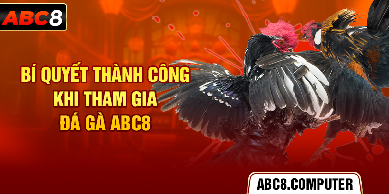 Bí quyết thành công khi tham gia đá gà ABC8