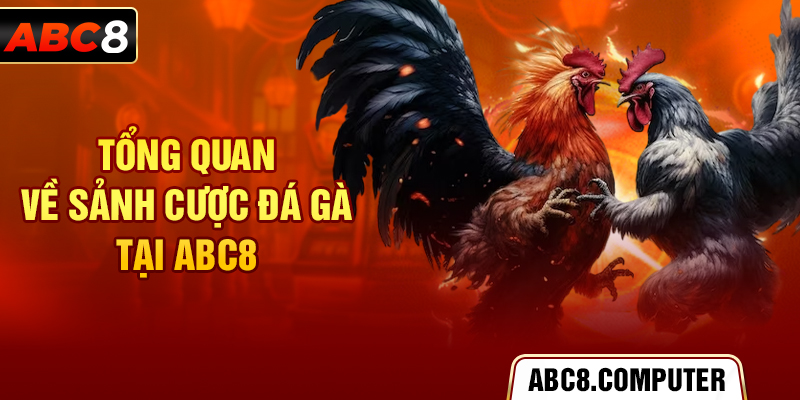 Tổng quan về sảnh cược đá gà tại ABC8